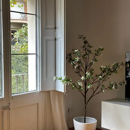 Apartman Dudu Life